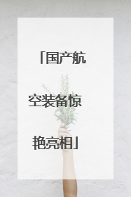 国产航空装备惊艳亮相